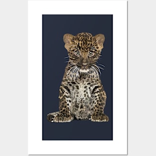 Leopard Posters and Art